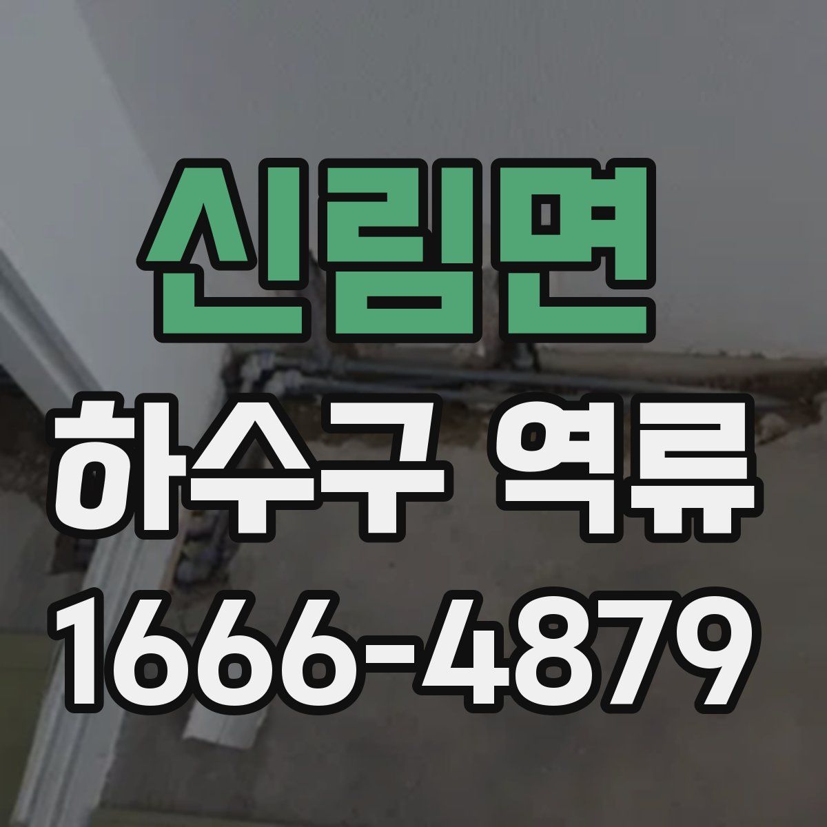 신림면 하수구 역류