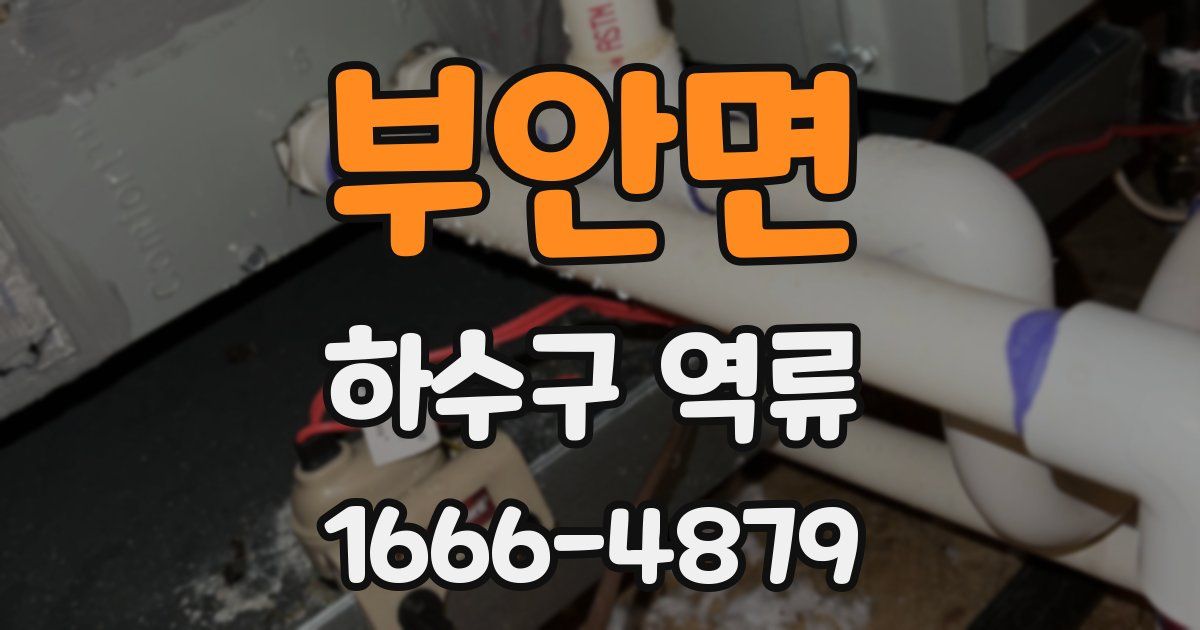 부안면 하수구 역류