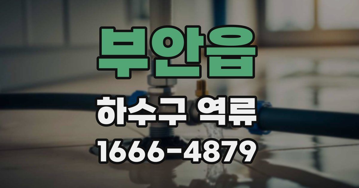 부안읍 하수구 역류