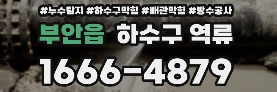 부안읍 하수구 역류
