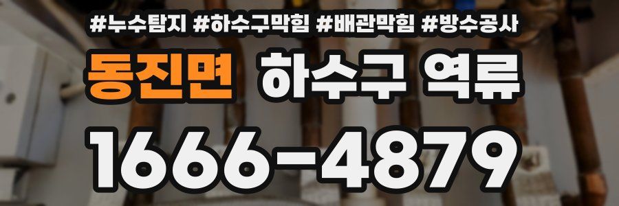 동진면 하수구 역류