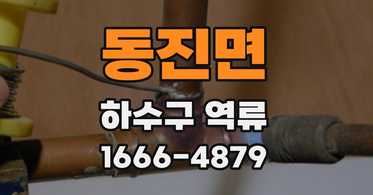 동진면 하수구 역류