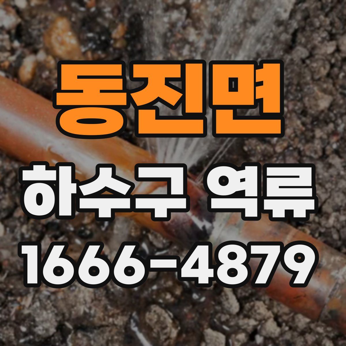 동진면 하수구 역류