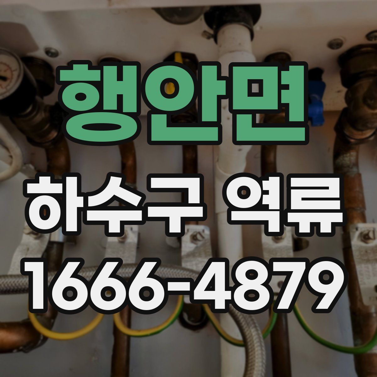 행안면 하수구 역류