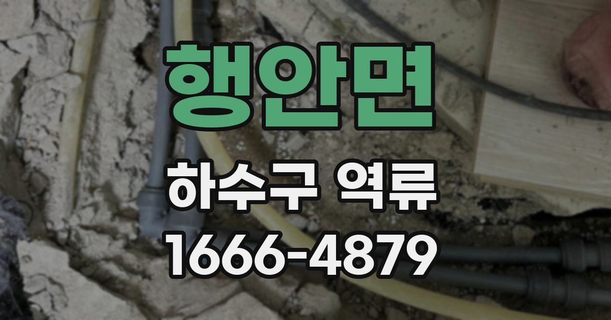 행안면 하수구 역류