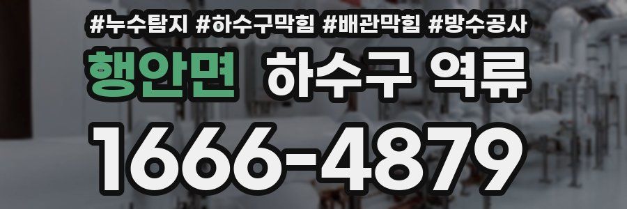 행안면 하수구 역류