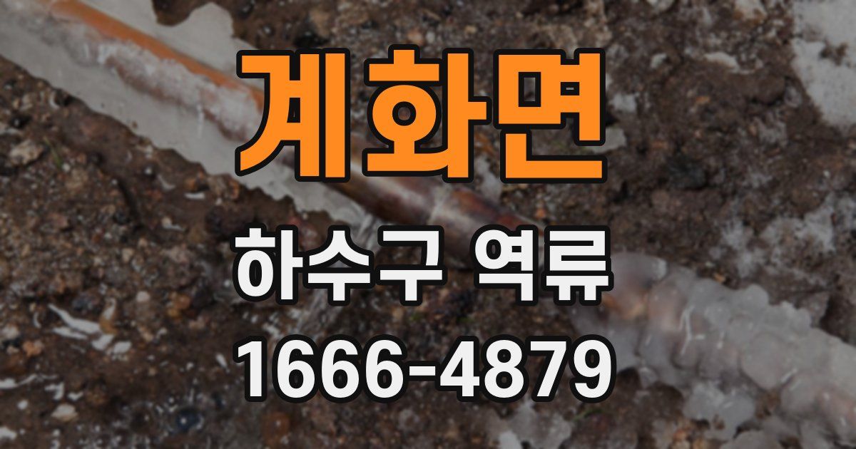 계화면 하수구 역류