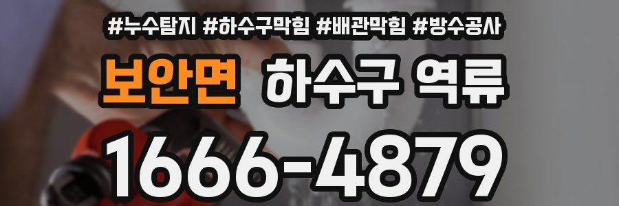 보안면 하수구 역류