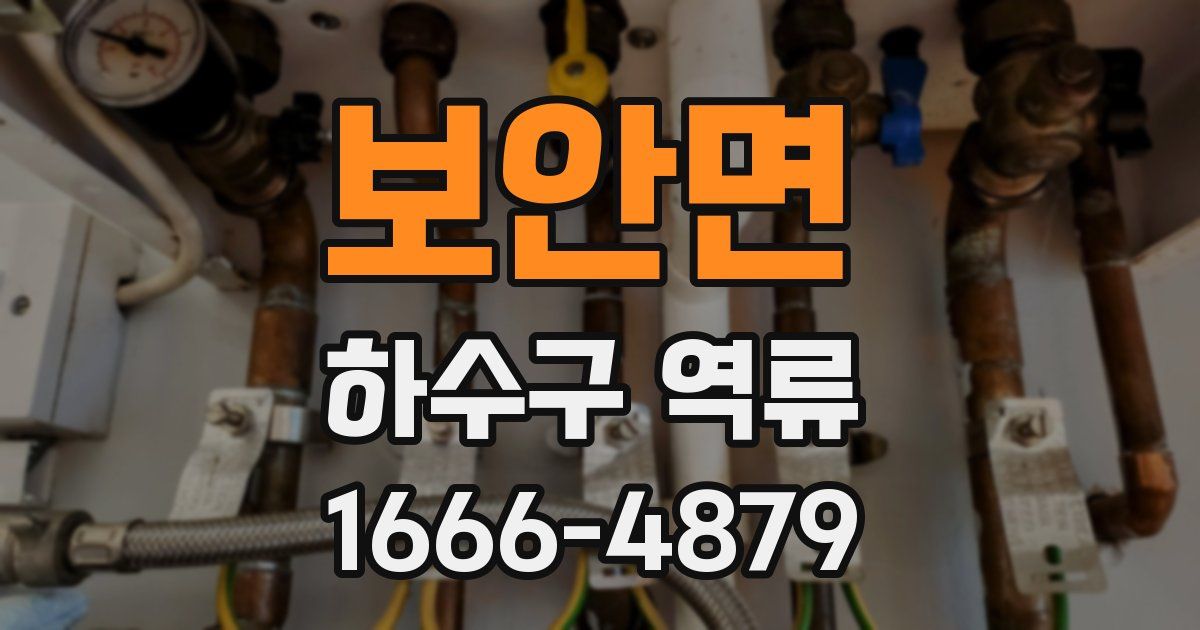 보안면 하수구 역류