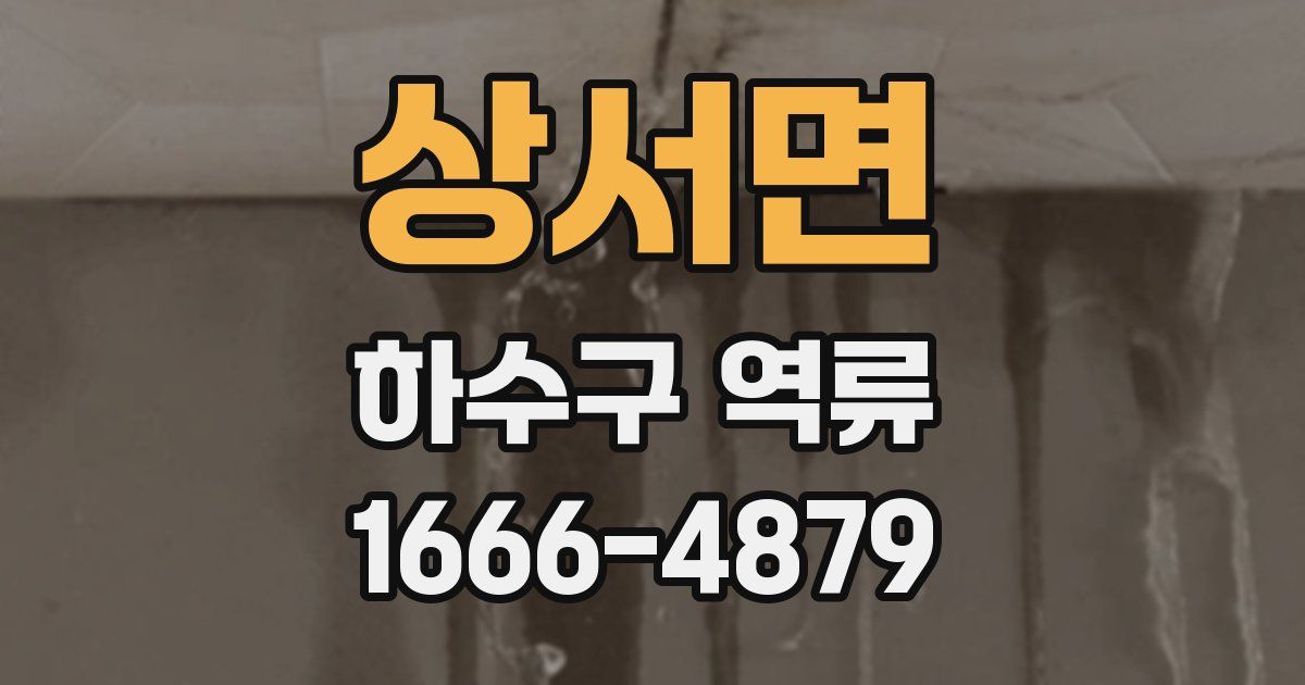 상서면 하수구 역류