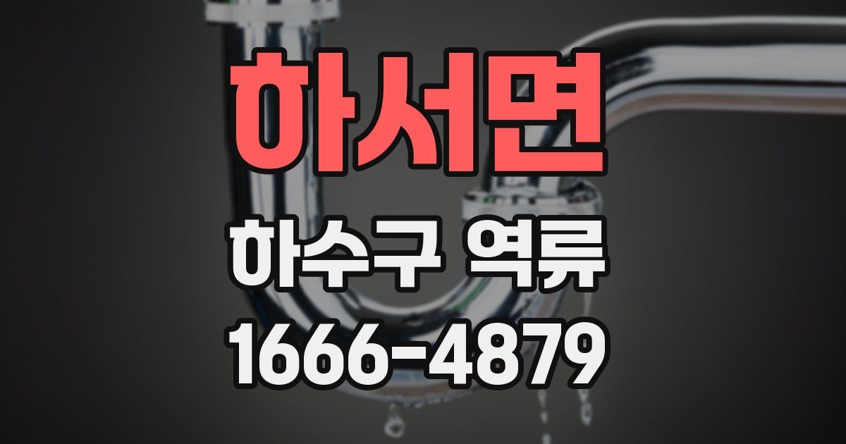 하서면 하수구 역류