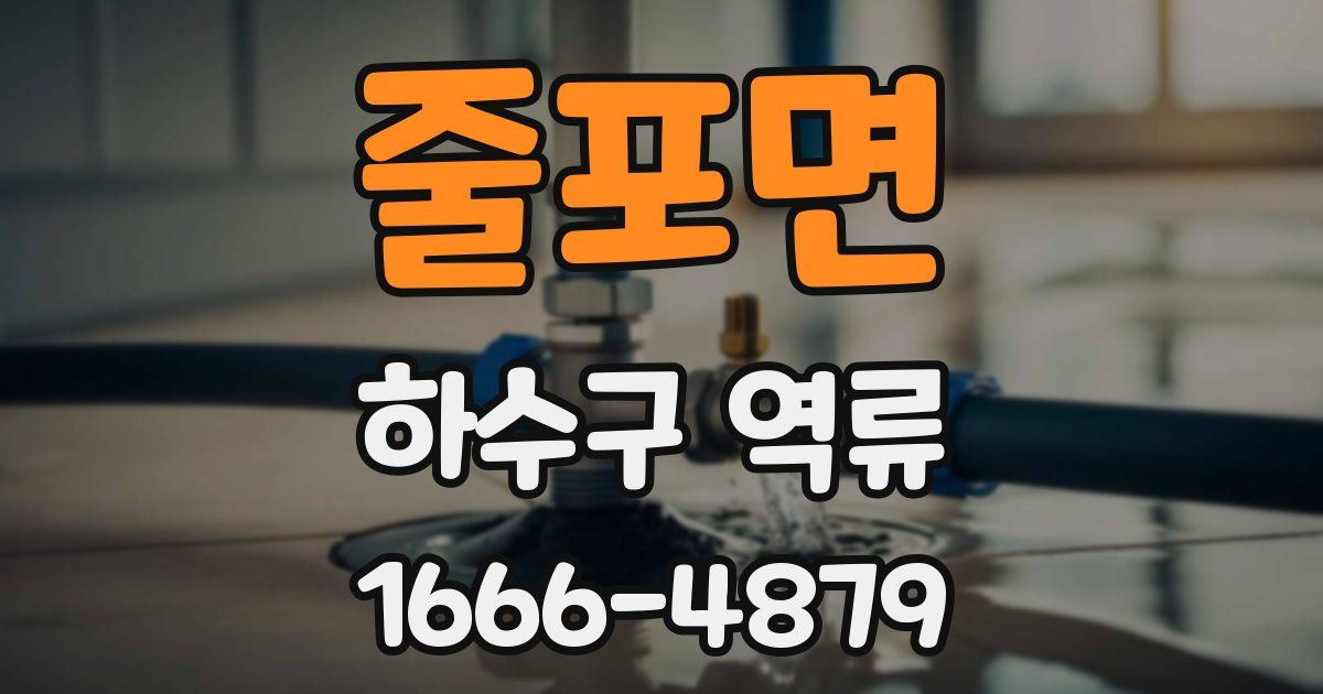 줄포면 하수구 역류