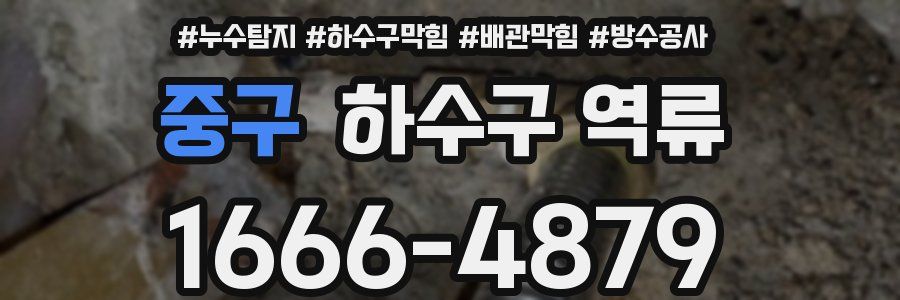 중구 하수구 역류