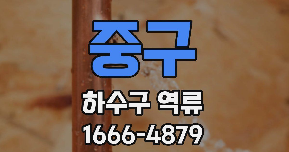 중구 하수구 역류