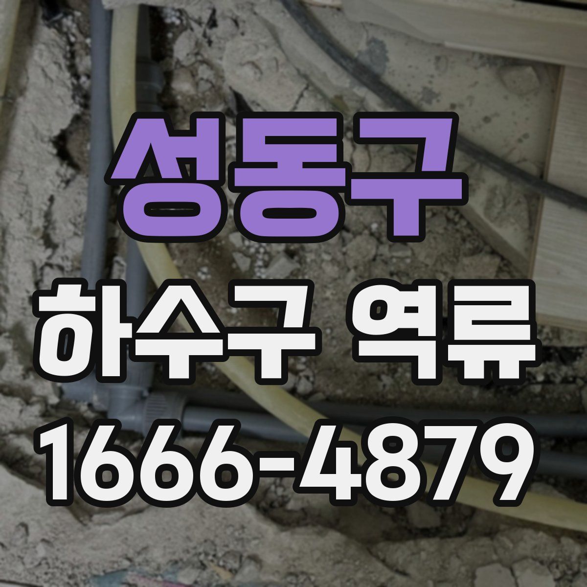 성동구 하수구 역류