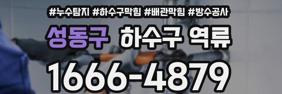 성동구 하수구 역류