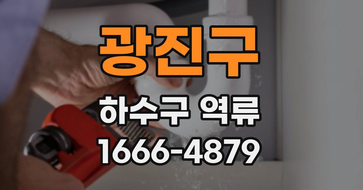 광진구 하수구 역류