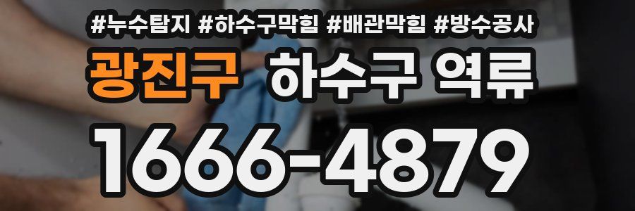 광진구 하수구 역류