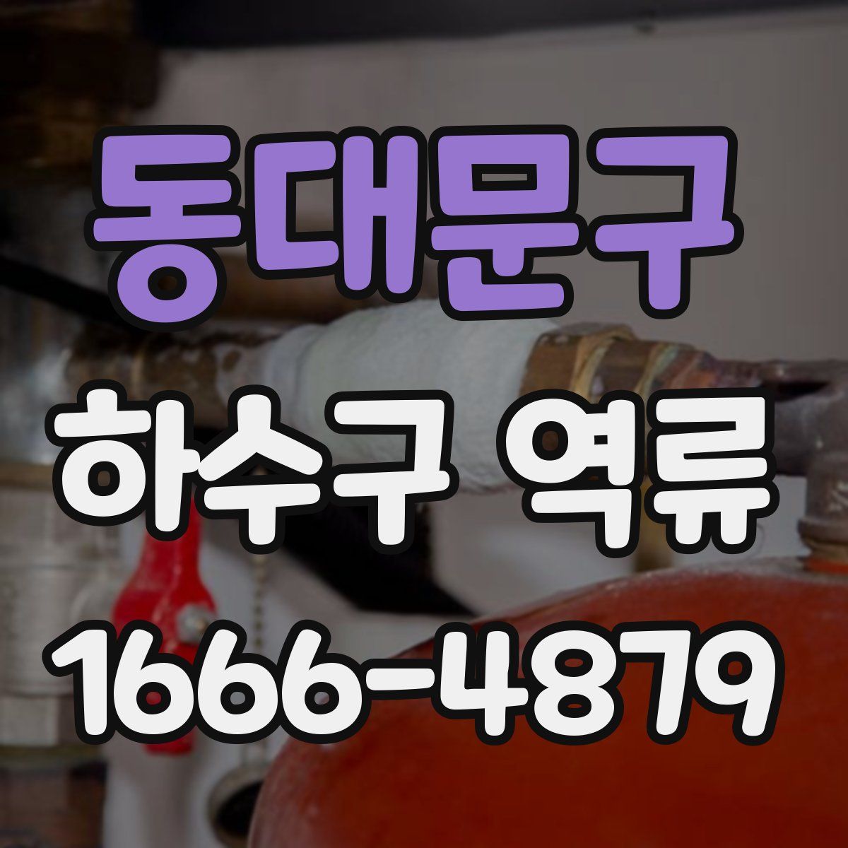 동대문구 하수구 역류
