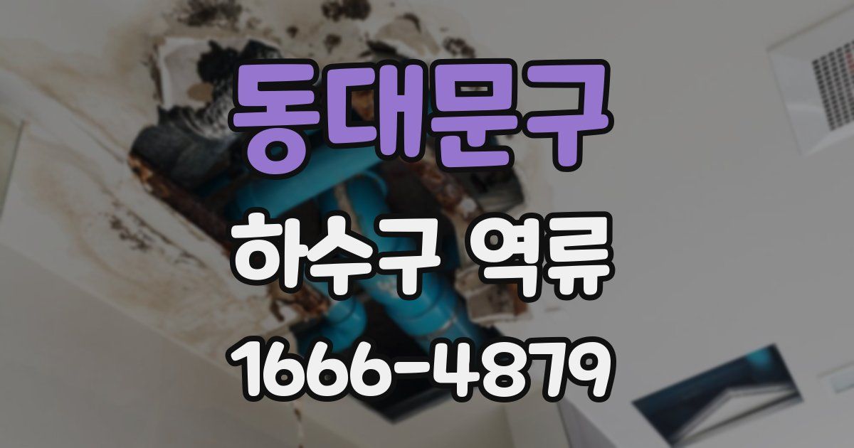 동대문구 하수구 역류