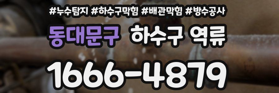 동대문구 하수구 역류