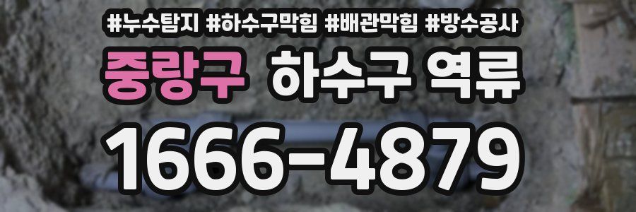 중랑구 하수구 역류