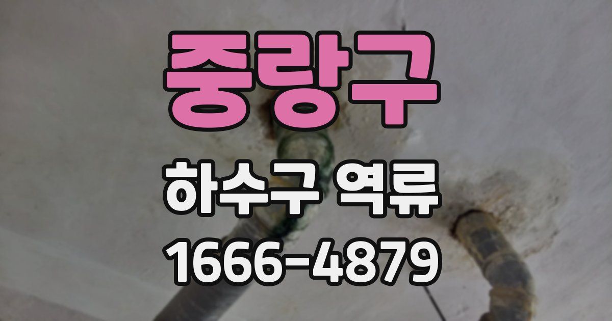 중랑구 하수구 역류