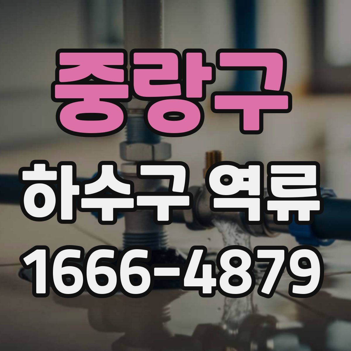 중랑구 하수구 역류