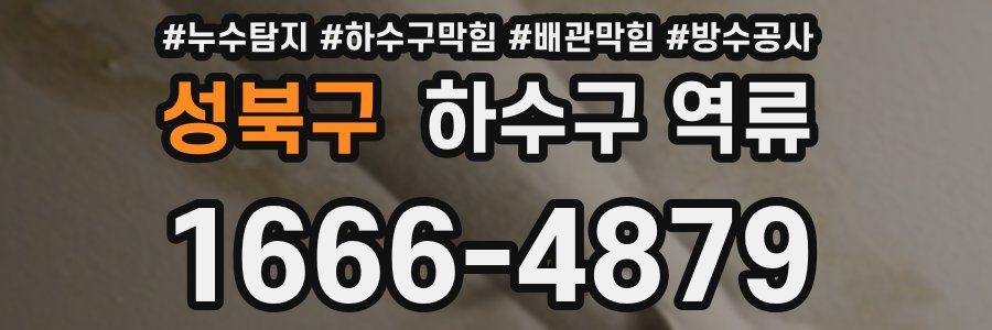 성북구 하수구 역류