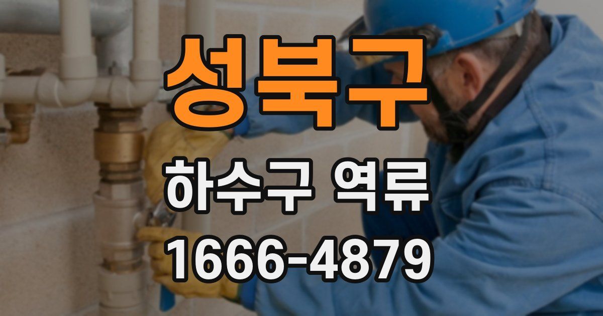 성북구 하수구 역류