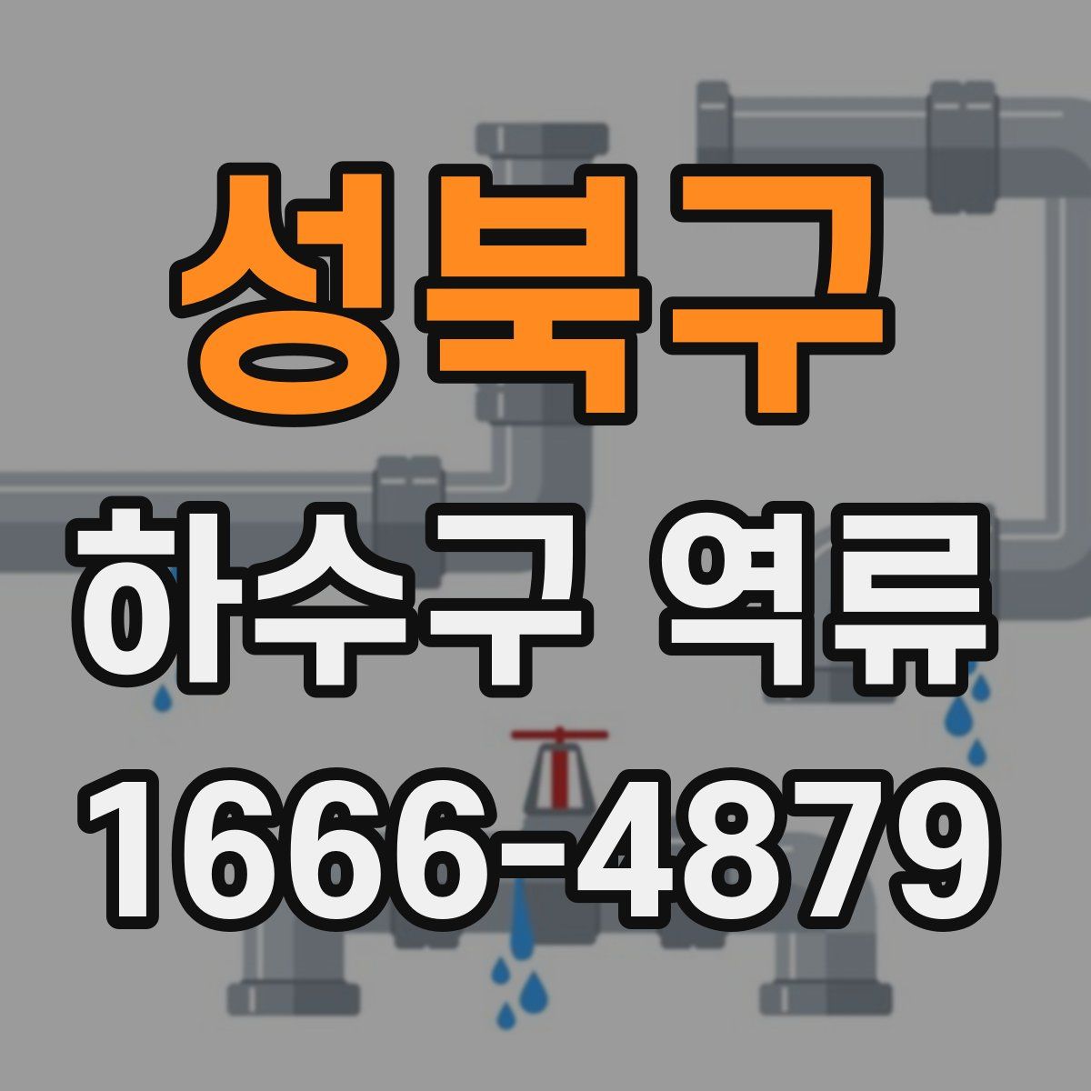 성북구 하수구 역류
