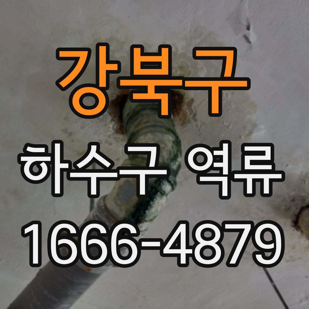 강북구 하수구 역류