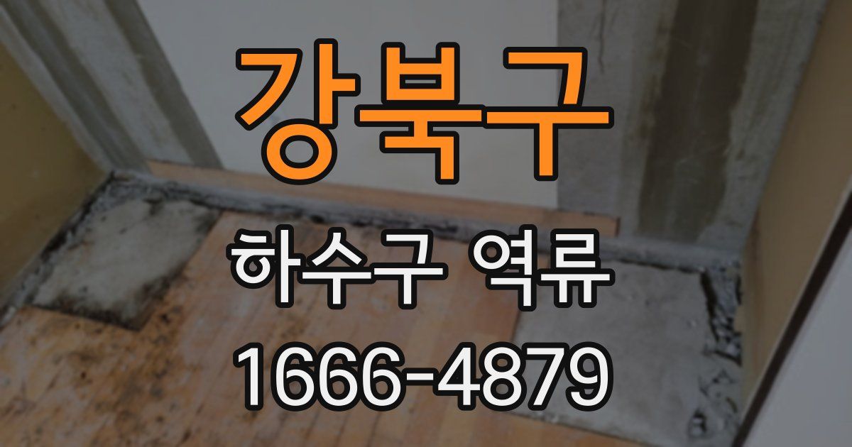 강북구 하수구 역류