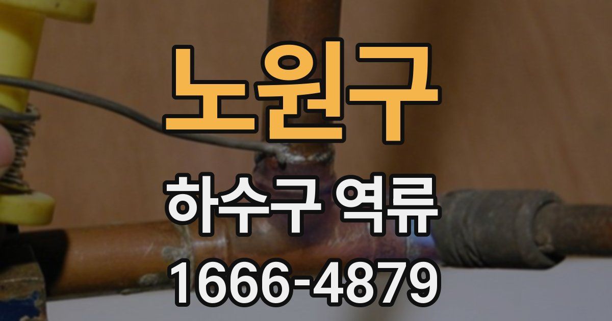 노원구 하수구 역류