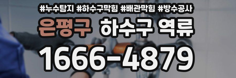 은평구 하수구 역류