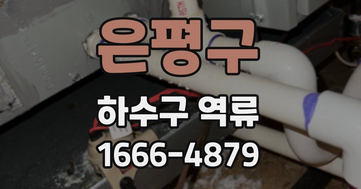 은평구 하수구 역류