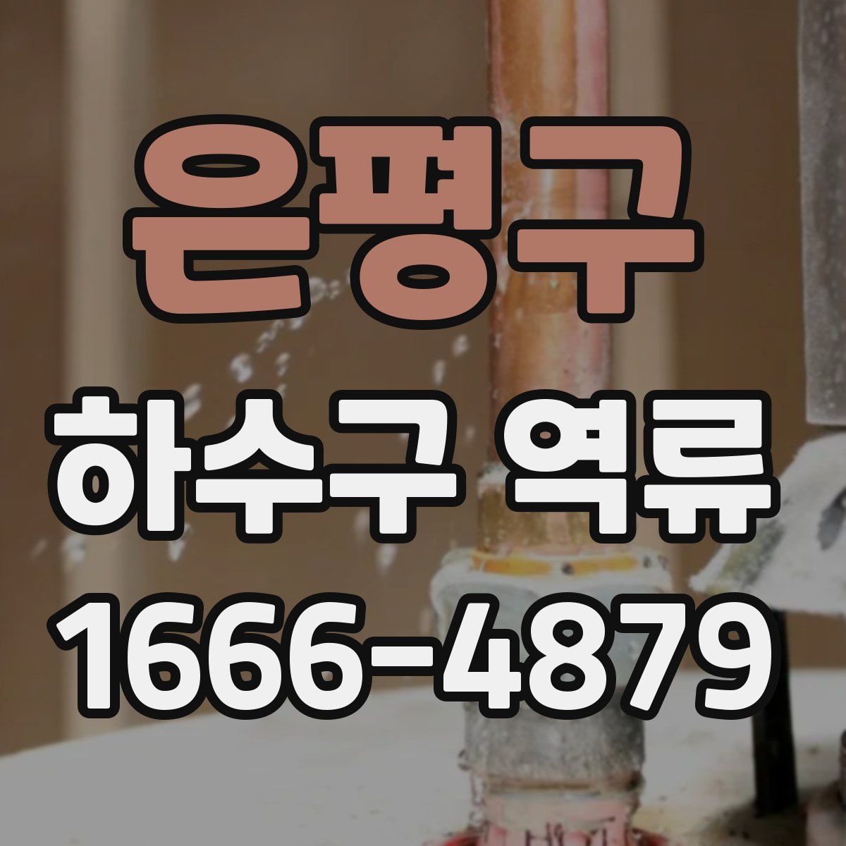 은평구 하수구 역류