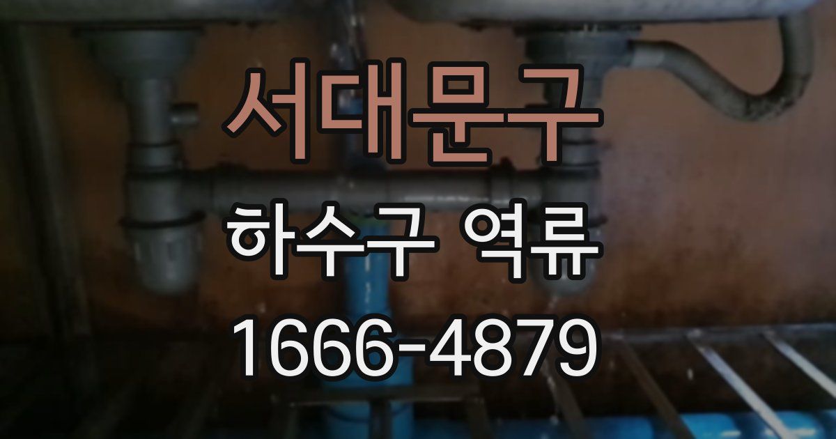 서대문구 하수구 역류
