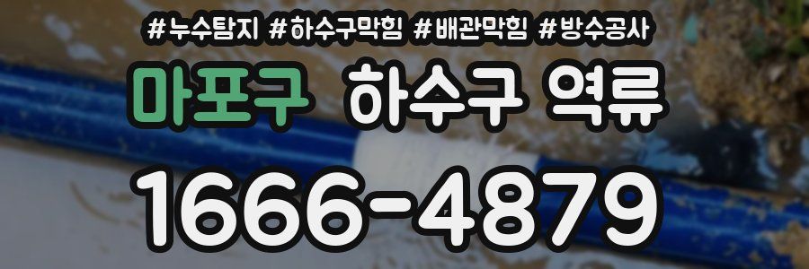 마포구 하수구 역류