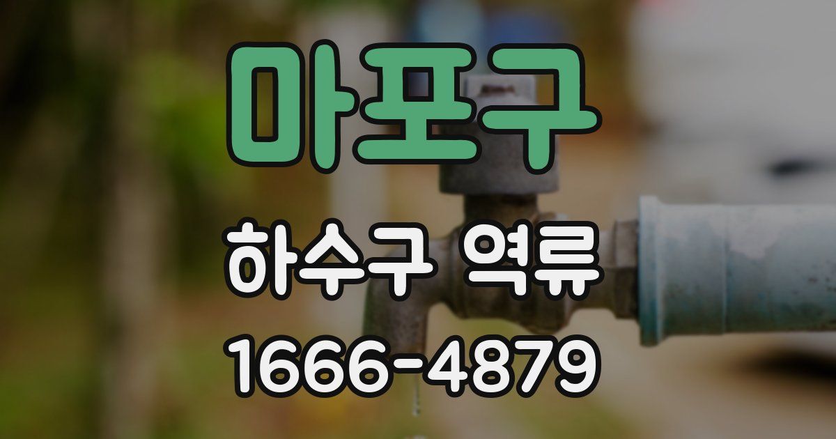 마포구 하수구 역류