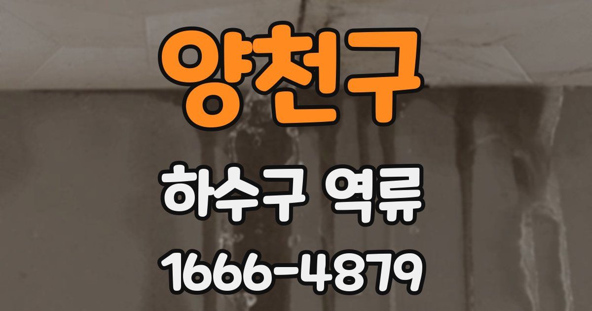 양천구 하수구 역류