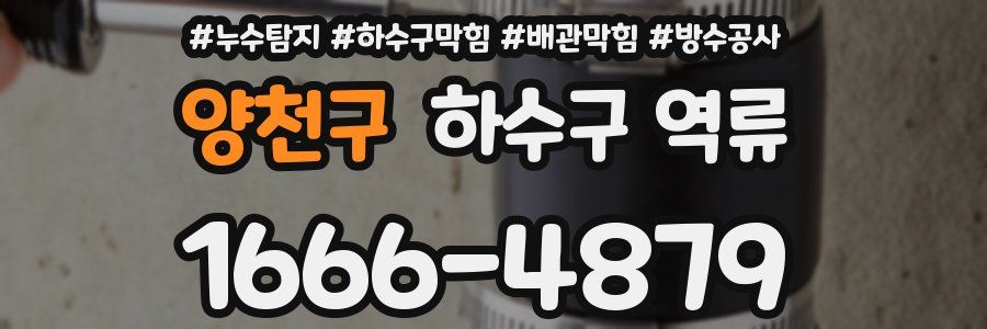 양천구 하수구 역류