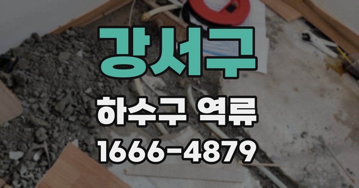 강서구 하수구 역류