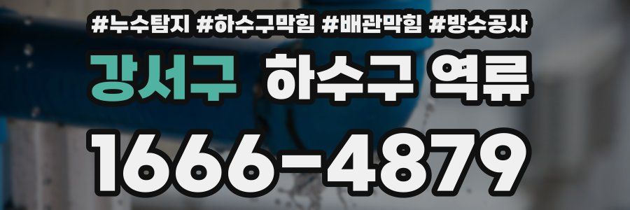 강서구 하수구 역류