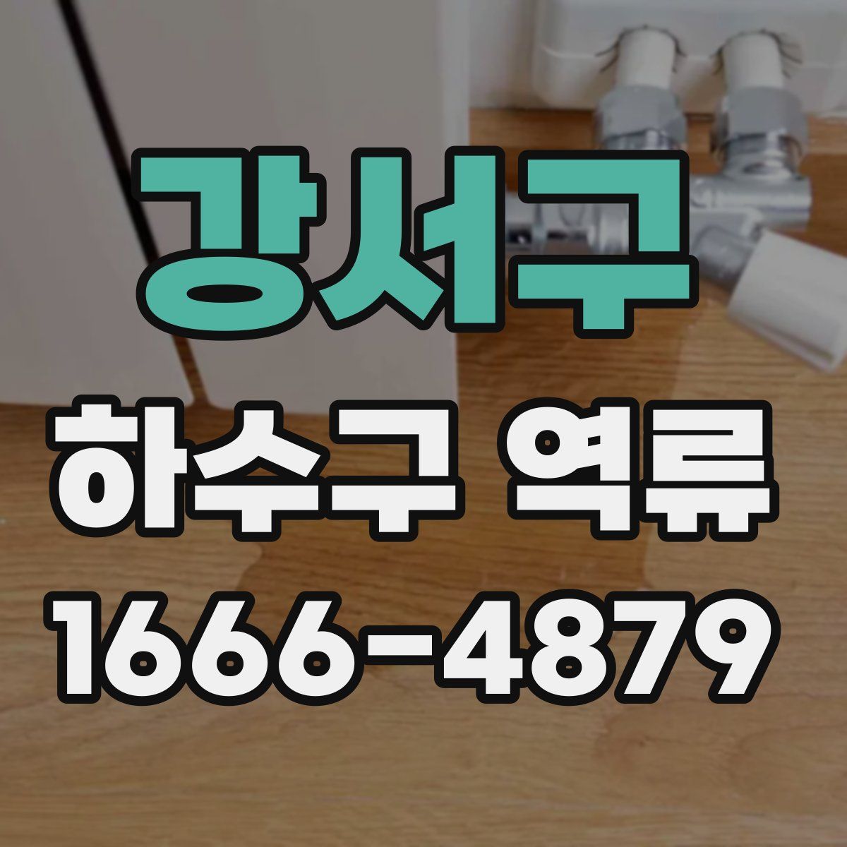 강서구 하수구 역류