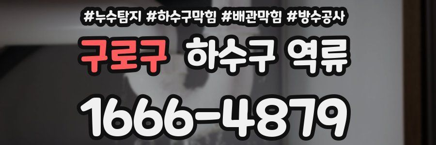 구로구 하수구 역류