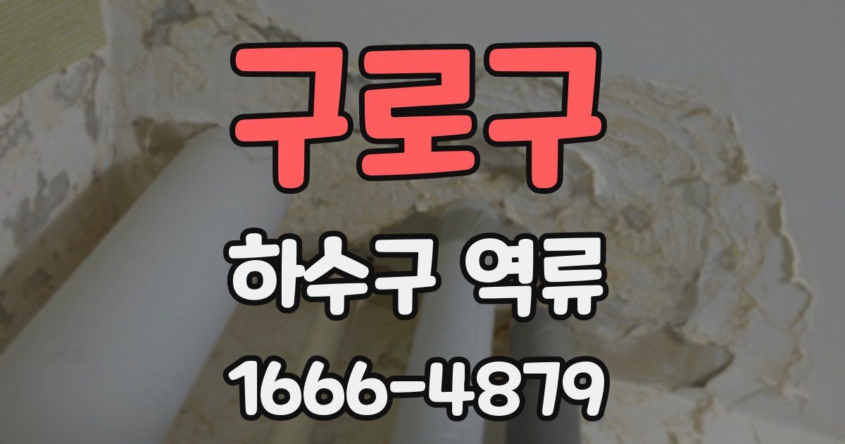 구로구 하수구 역류