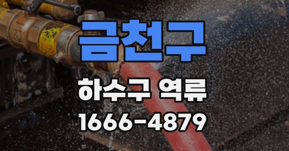 금천구 하수구 역류