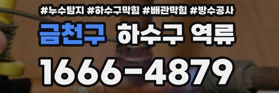 금천구 하수구 역류