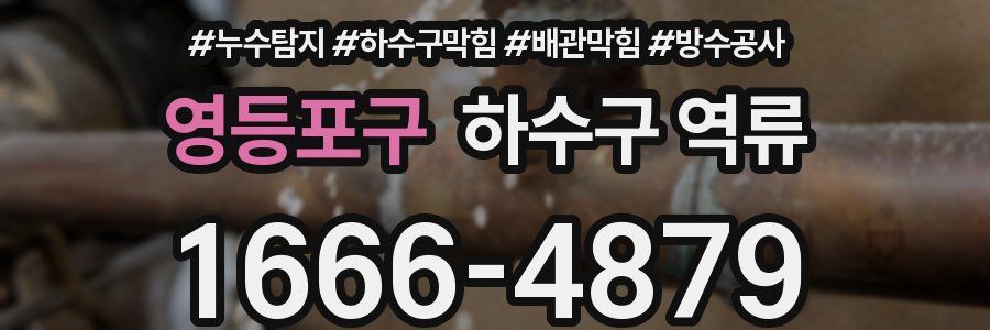 영등포구 하수구 역류